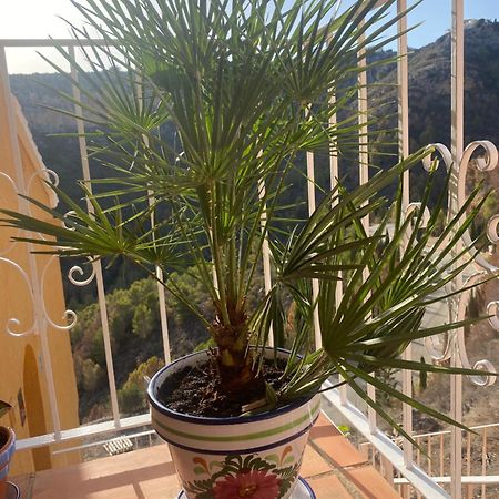 Apartman Marcella, קומברה דל סול מראה חיצוני תמונה